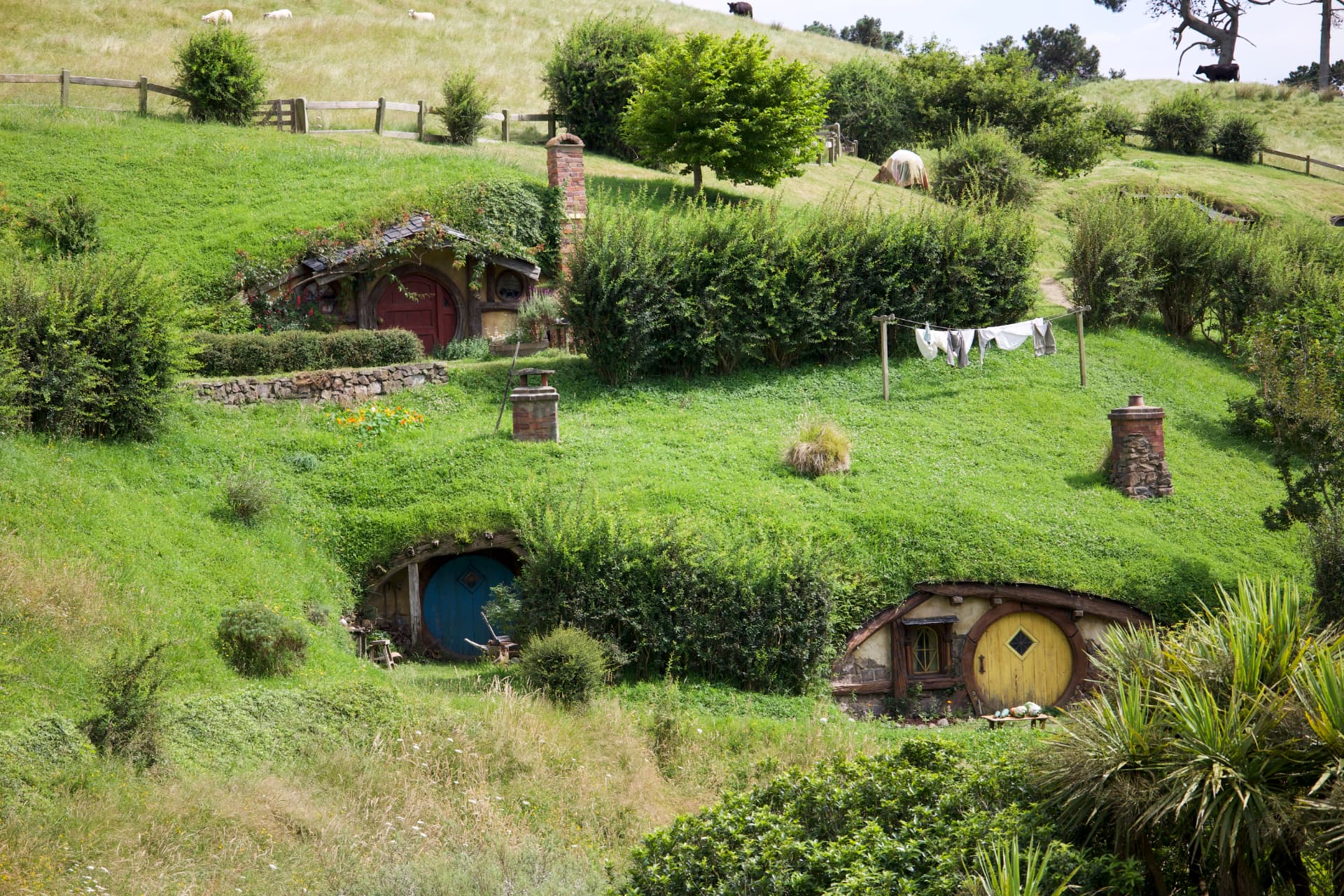 Hobbit holes with colourful round doors set into the rolling green hills of the Hobbiton Movie Set, New Zealand