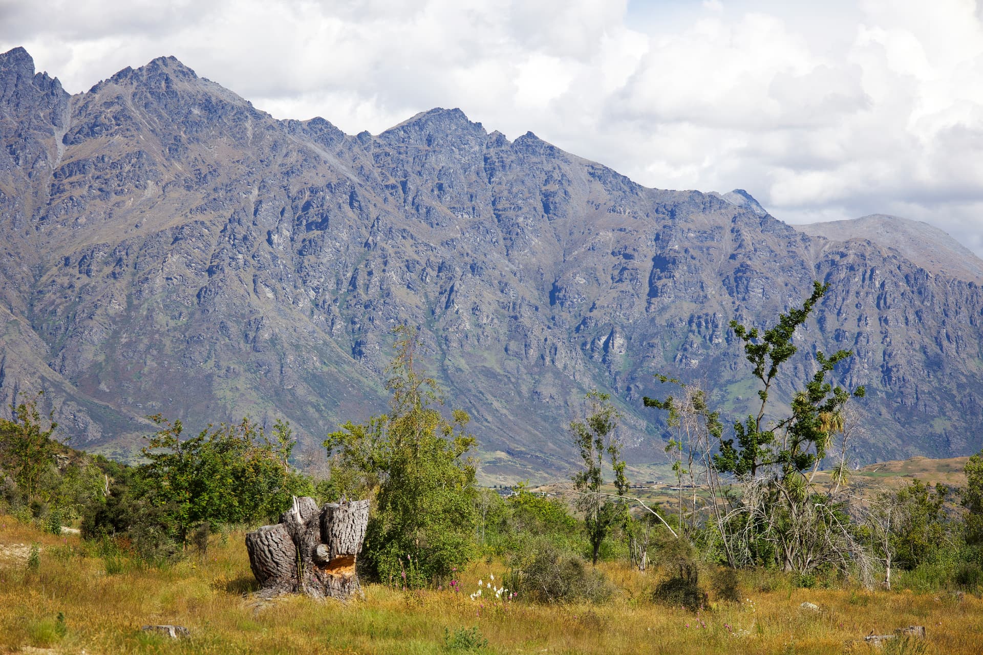 The rugged Remarkables mountain range rising behind golden grassland and a tree stump near Queenstown, New Zealand