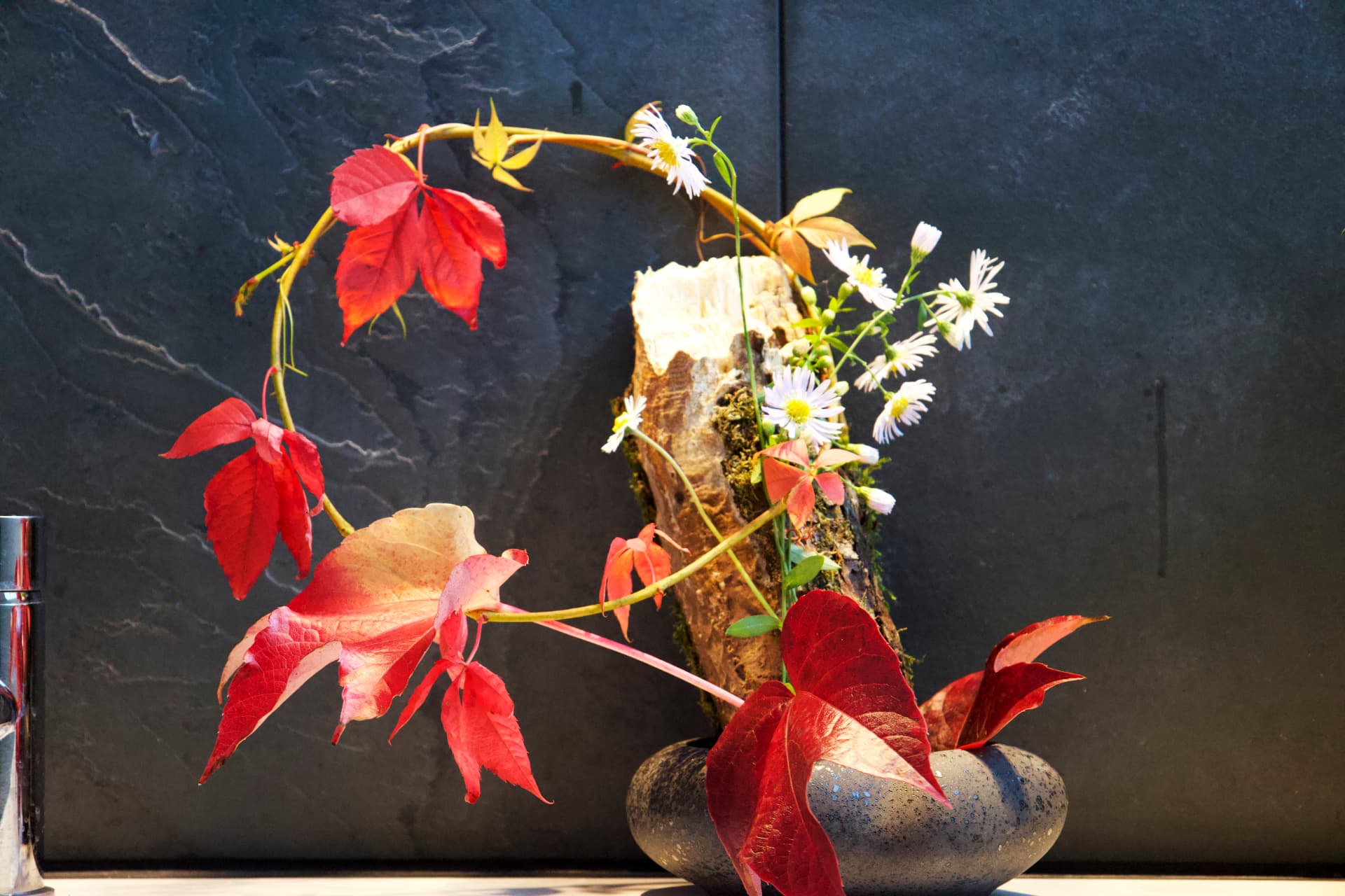 An autumn ikebana arrangement with red vines, white daisies, and driftwood in a dark vase.
